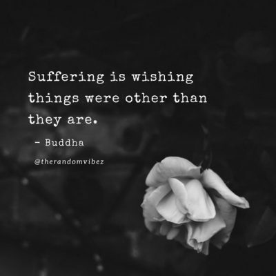 Wish Things Were Different Quotes By Buddha