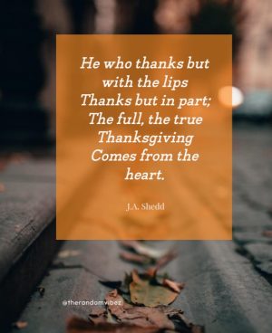 family thanksgiving quotes