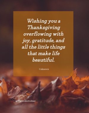 happy thanksgiving wishes