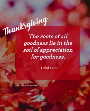 quotes for thanksgiving