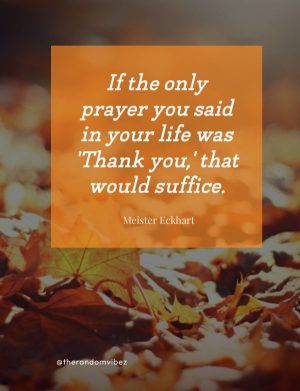 thanksgiving quote