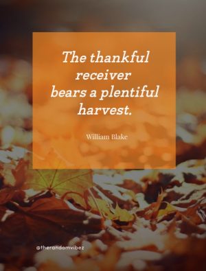 thanksgiving quotes short