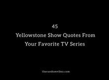 45 Yellowstone Show Quotes