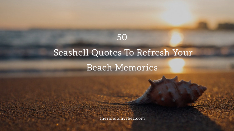 50 Seashell Quotes To Refresh Your Beach Memories