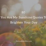 80 You Are My Sunshine Quotes
