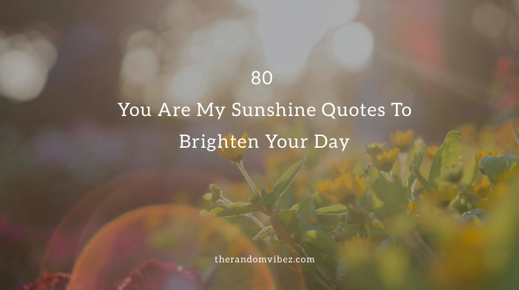 80 You Are My Sunshine Quotes