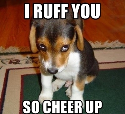 Angry Dog Cheer Up Meme