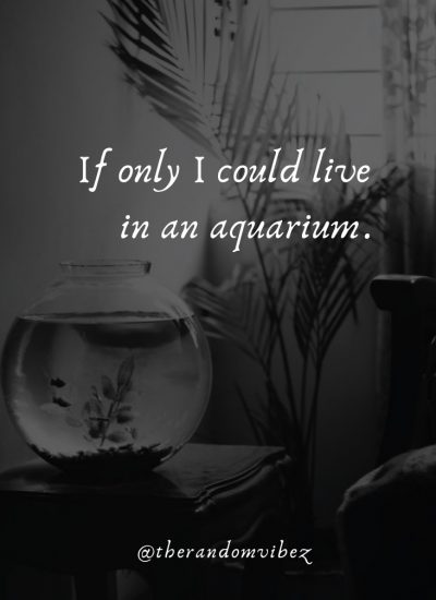 Aquarium Quotes Images