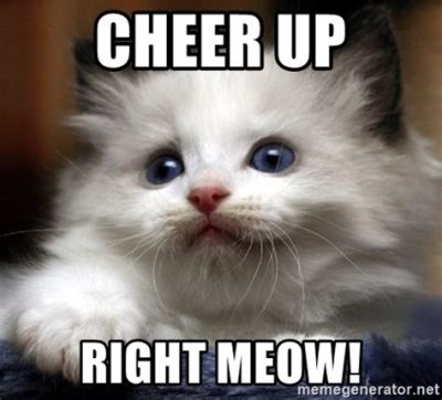 Cheer Up Cat Meme