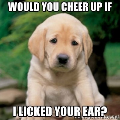 Cheer Up Dog Memes