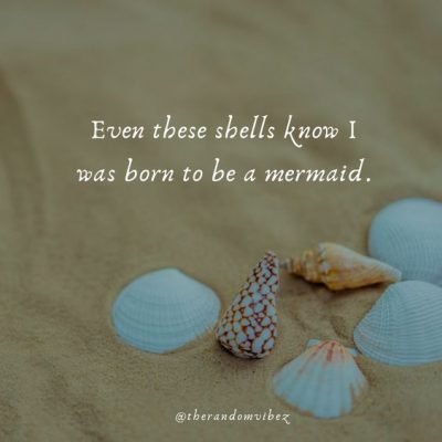 Famous Quotes About Seashells