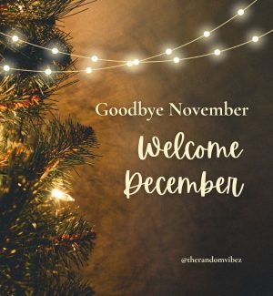 Goodbye November Hello December