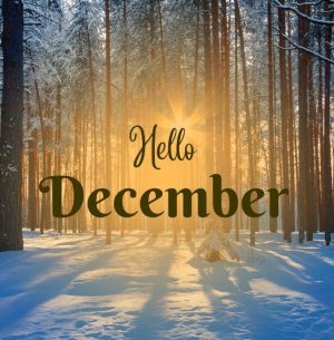 Hello December Pics