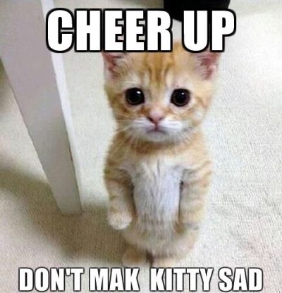 Kitty Cheer Up Memes