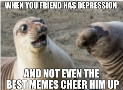 Memes To Cheer Up A Sad Friend