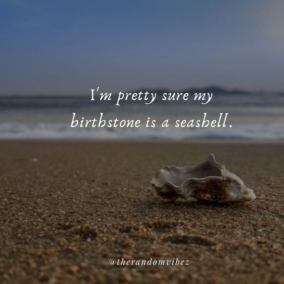 50 Seashell Quotes To Refresh Your Beach Memories