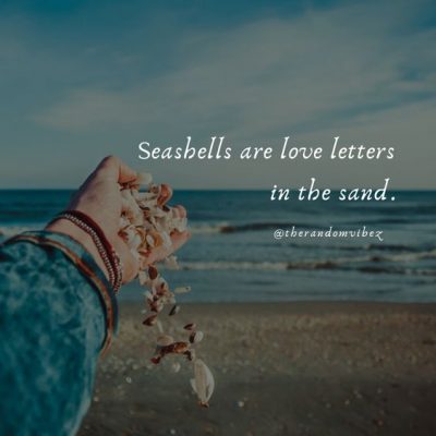 Seashell Quotes Images