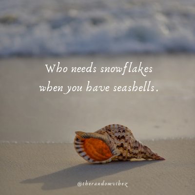 Short Seashell Captions Instagram