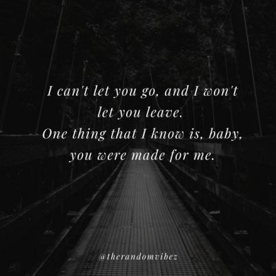 40 I Will Never Leave You Quotes For Your Love The Random Vibez