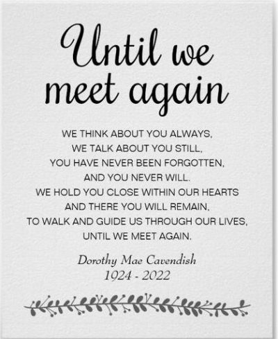 Until We Meet Again Quotes