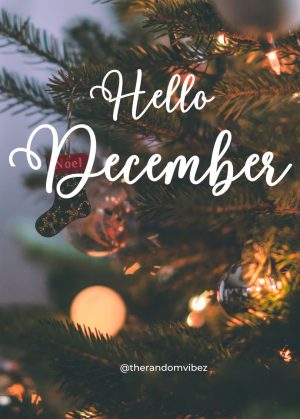 hello december quotes