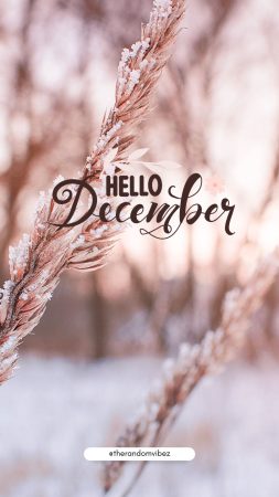welcome december quotes