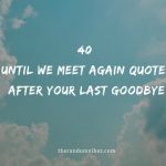 40 Until We Meet Again Quotes After Your Last Goodbye