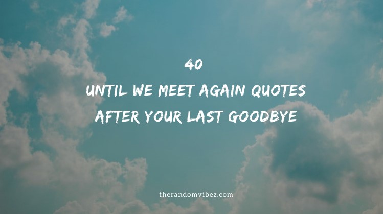 40 Until We Meet Again Quotes After Your Last Goodbye