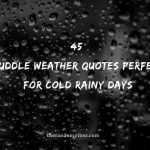 45 Cuddle Weather Quotes Perfect For Cold Rainy Days