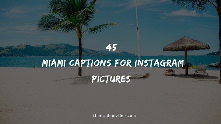 45 Miami Instagram Captions For Miami Beach Pictures