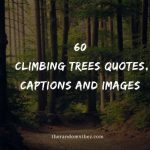 60 Climbing Trees Quotes, Captions And Images