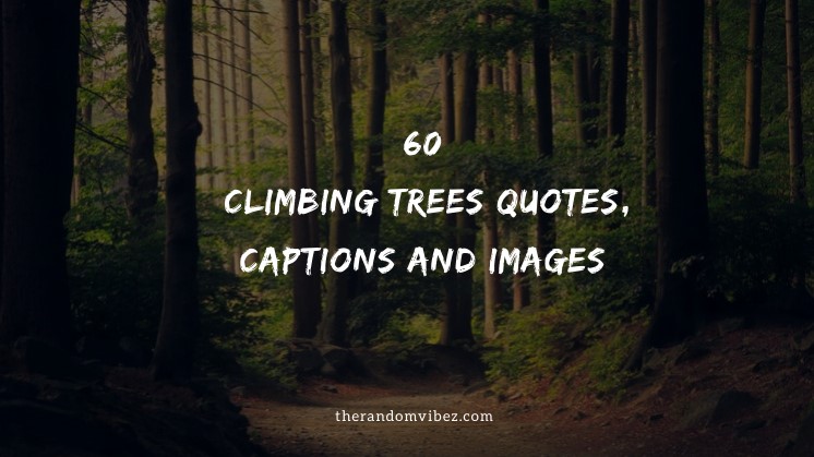 60 Climbing Trees Quotes, Captions And Images