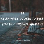 60 Save Animals Quotes To Inspire You To Conserve Animals