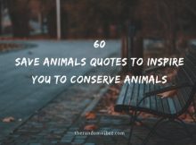Save Animals Quotes Archives - The Random Vibez