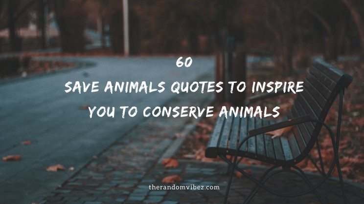 60 Save Animals Quotes To Inspire You To Conserve Animals