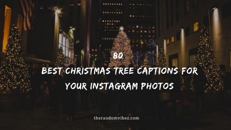 80 Best Christmas Tree Captions For Your Instagram Photos