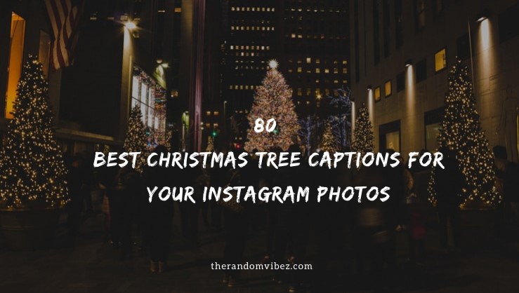 Christmas Tree Quotes For Instagram : Best Christmas Instagram Captions