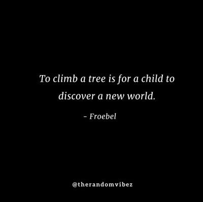 Climbing Trees Quotes Images