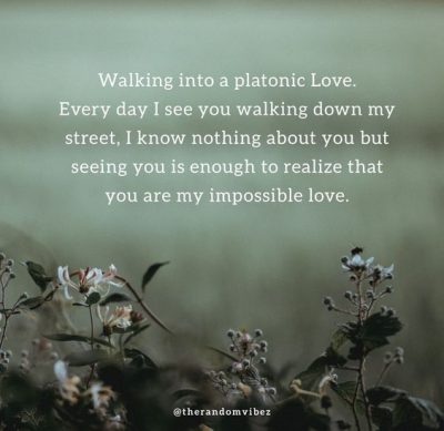 Connection Platonic Love Quotes