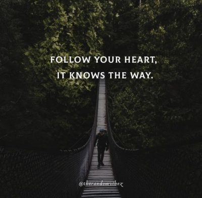 Follow Your Heart Quotes