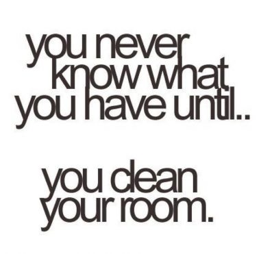 Funny Cleaning Quotes And Sayings