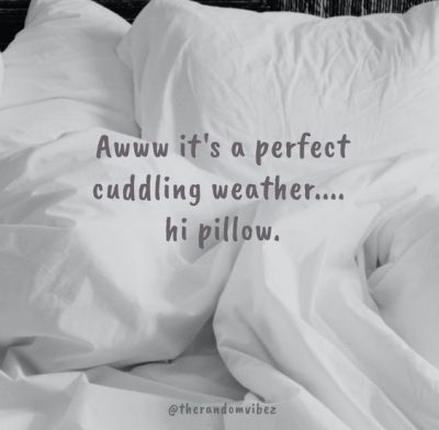 Funny Cuddle Weather Quotes