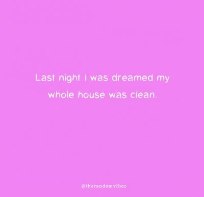 Funny House Cleaning Quotes
