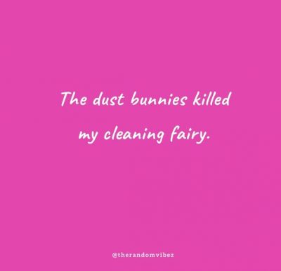 Funny Quotes About Cleaning