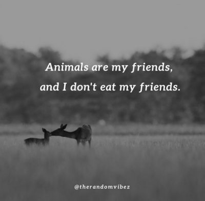 Inspirational Quotes About Saving Animals