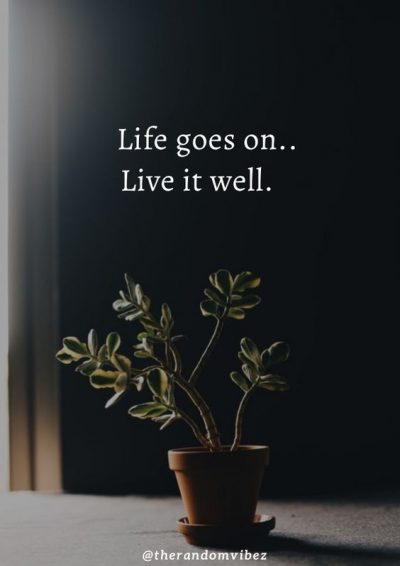 Life Goes On Quotes Images