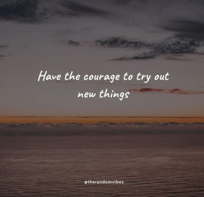 Never Be Afraid To Try New Things