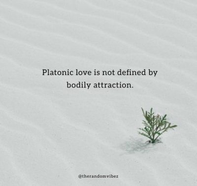 Platonic Relationship Quotes