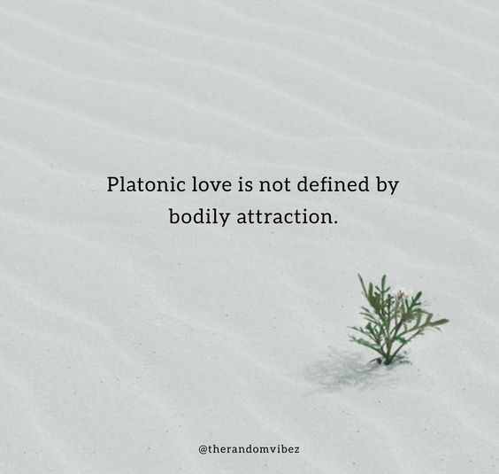 Platonic relationship non Platonic Relationship