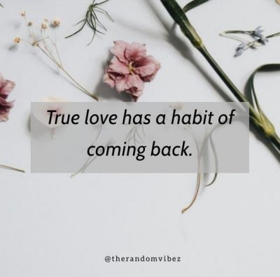 Quotes About Old Love Coming Back